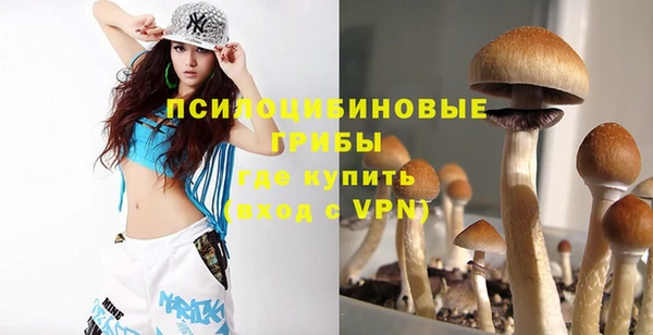 метадон Горняк