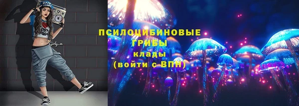метадон Горняк