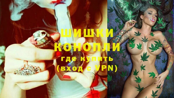 метадон Горняк